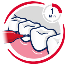 Interdental Brush